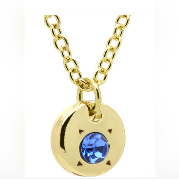 BRAND NEW - Birthstone Bottle Necklace in SEPTEMBER in SAPPHIRE. PERFECT GIFT!!! - Picture 2 of 15